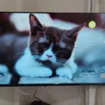 Ali Dalkılıç ürün değerlendirmesi