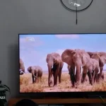 Cihan Bulut ürün değerlendirmesi