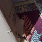 Hasan Kahraman ürün değerlendirmesi
