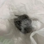 Azra Yavuz ürün değerlendirmesi