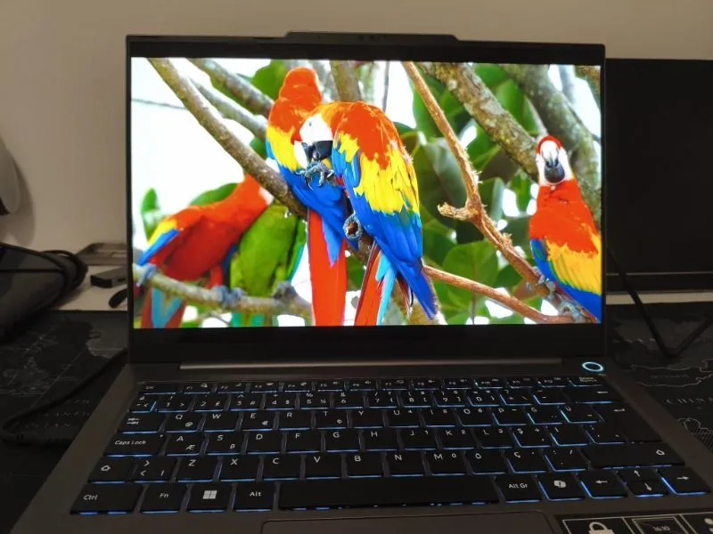 Medion Signium 14 S1 MD600032 Intel Core 5 120U 16GB 512GB SSD Freedos 14″ 120Hz OLED Dizüstü Bilgisayar