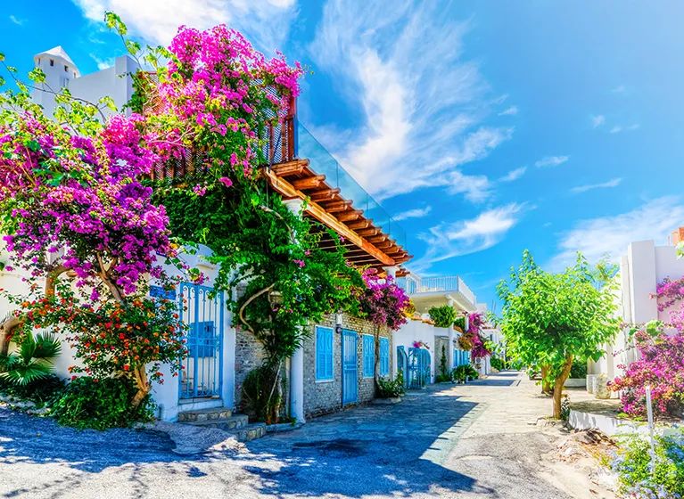 General Mobile Gm 22 Plus