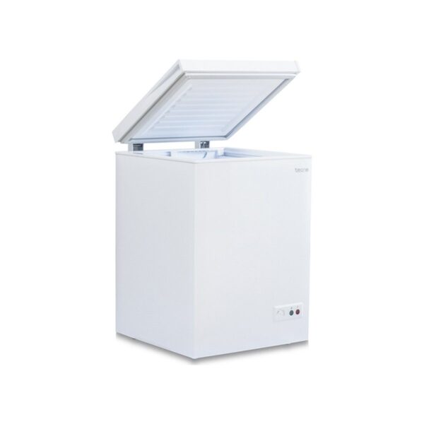 Tecna Tye 1122 Dual Sandık Tipi Derin Dondurucu 120 lt E Enerji Sınıfı Beyaz