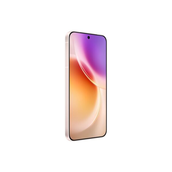 Vivo X300
